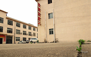 “論實(shí)力說話”專業(yè)硅膠制品廠家！