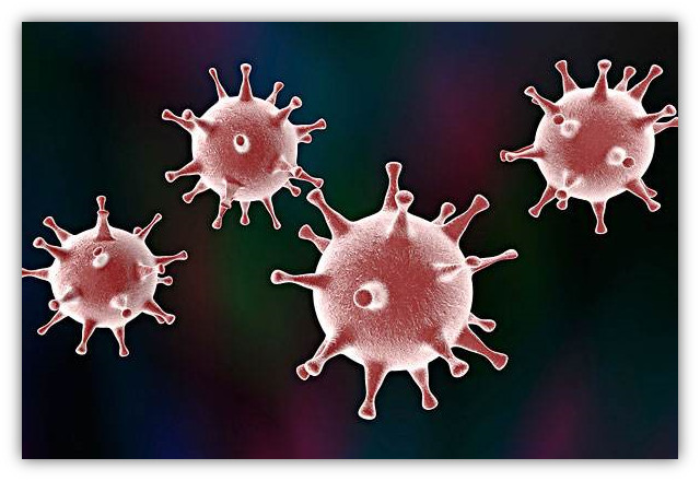 09284hb7.jpg 09284hb7.jpg